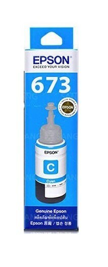 EPSON T673/T6732/T673200原廠藍色墨水 適用:L800/L805/L1800