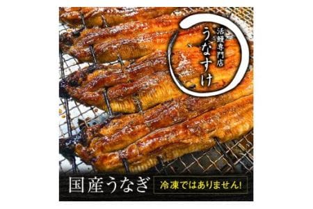 国産うなぎ蒲焼き (2匹)｜名店 鰻 ウナギ うな丼 鰻丼 冷蔵 クール便 ひつまぶし 丑の日 簡単調理 [0525]