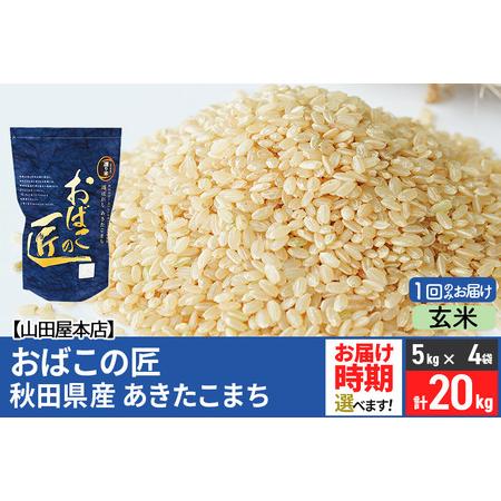 ふるさと納税 令和5年産 おばこの匠 秋田県産あきたこまち 20kg（5kg×4袋）秋田こまち お米 配送時期選べる 秋田県美郷町