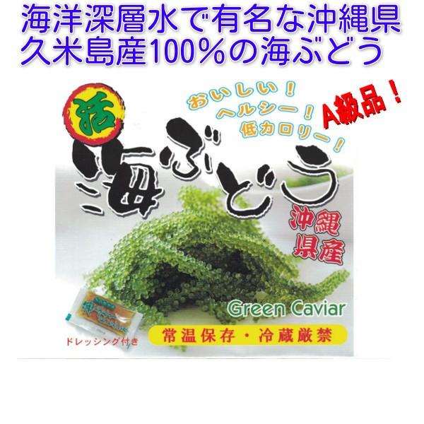 みやぎ商店 久米島産海ぶどう100g×2個セット 海ぶどう 沖縄 海洋深層水 で有名な久米島産海ぶどう100％ お土産 ポイント消化