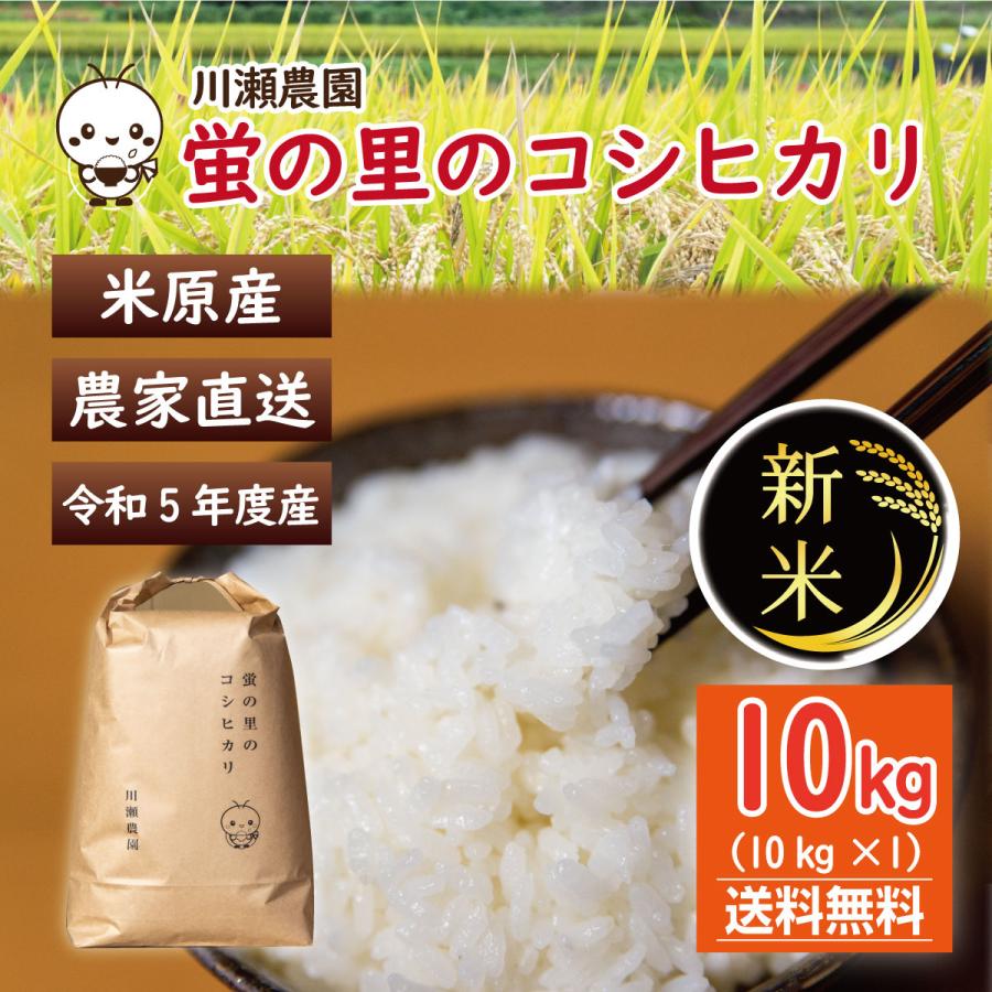 蛍の里のコシヒカリ  10kg(10kg×1) 令和５年産 １等米 滋賀県産 農家直送 送料無料