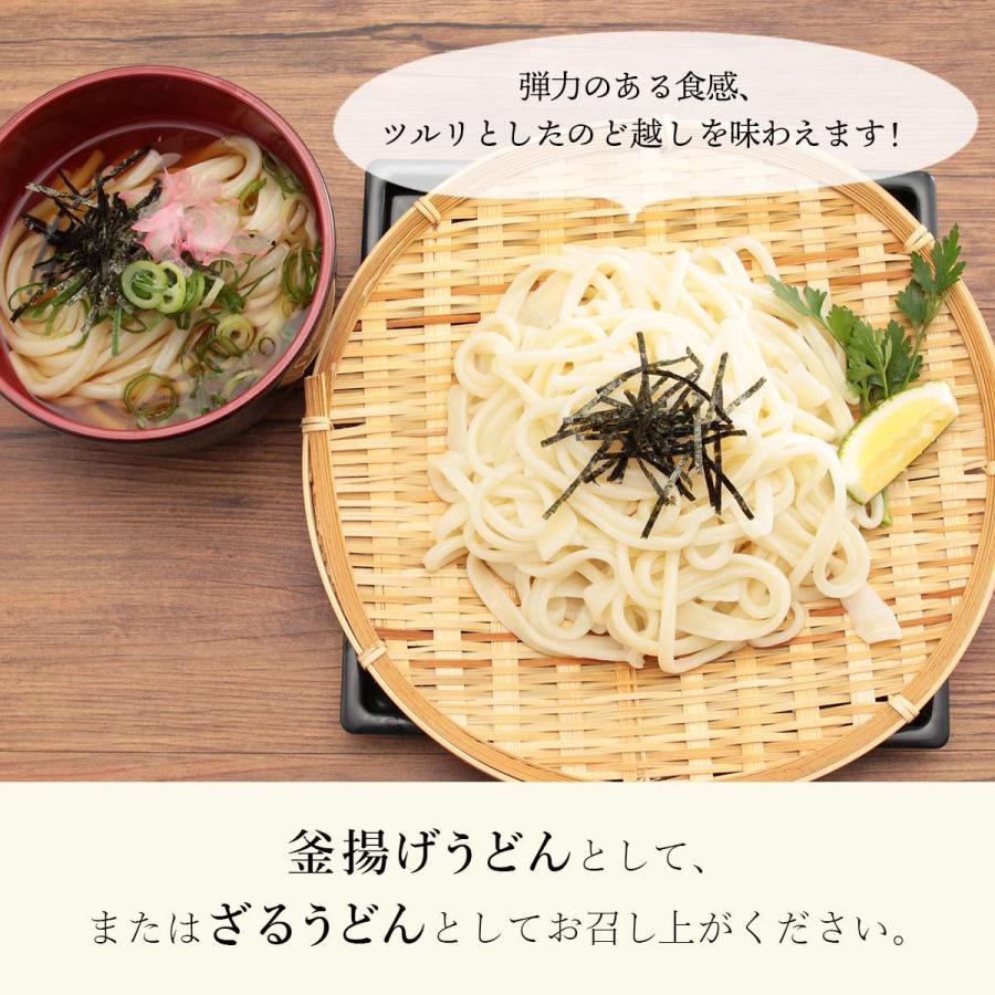 [福山製麺所] うどん 手延べ人力うどん 200g  うどん 生 人力うどん 人力 福岡 手延べ 半生