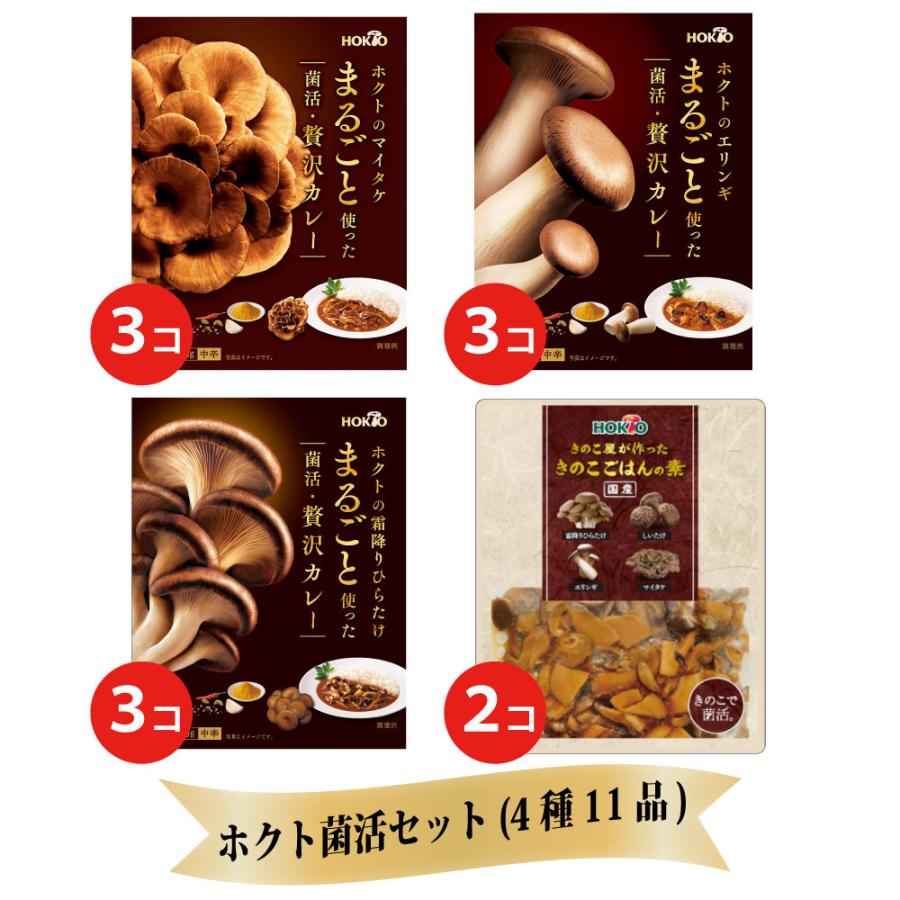 ホクト菌活セット(4種11品)レトルトカレー茸御飯 お歳暮ギフトセット レトルト食品詰め合わせ