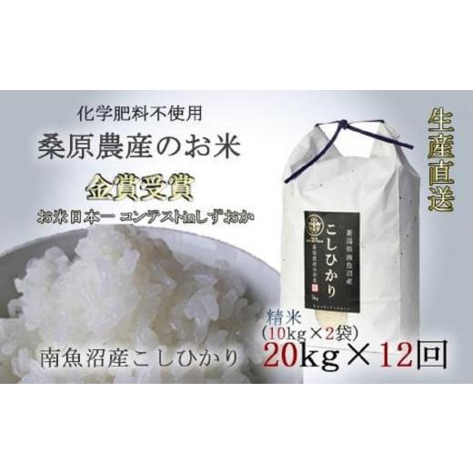 ふるさと納税 新潟県 南魚沼市 桑原農産のお米20kg(10kg×2)×12カ月　南魚沼産こしひかり