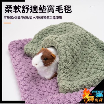 【台灣出貨】兔子窩墊 小寵毛毯 倉鼠保暖棉窩 過冬用品 金絲熊花枝鼠刺蝟 長毛絨墊 外出防寒窩墊 耐磨耐咬
