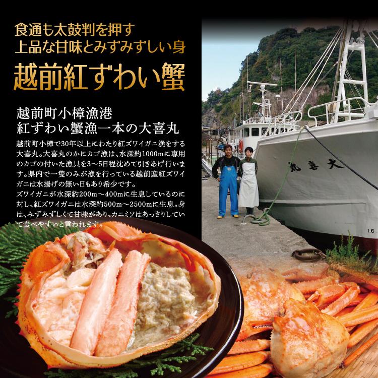 お歳暮 越前海鮮ぶっかけの具セット ３種 甘えび ふくいサーモン ベニズワイガニ 刺身 漬け 小分け 海鮮丼の具 魚介類 水産加工品 送料無料