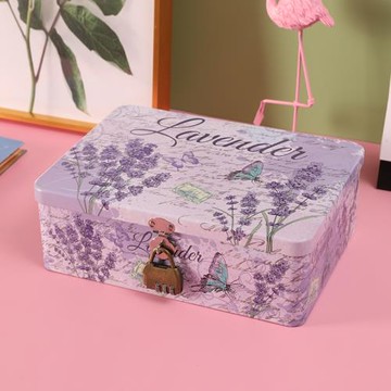 家用桌面化妝品可愛小箱子鐵盒