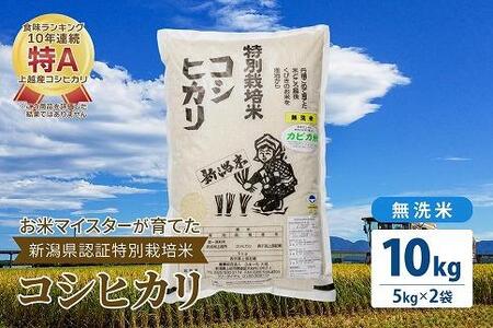 お米マイスターが育てた特別栽培米 精米コシヒカリ 上越産 令和5年産 10kg(5kgx2袋)無洗米