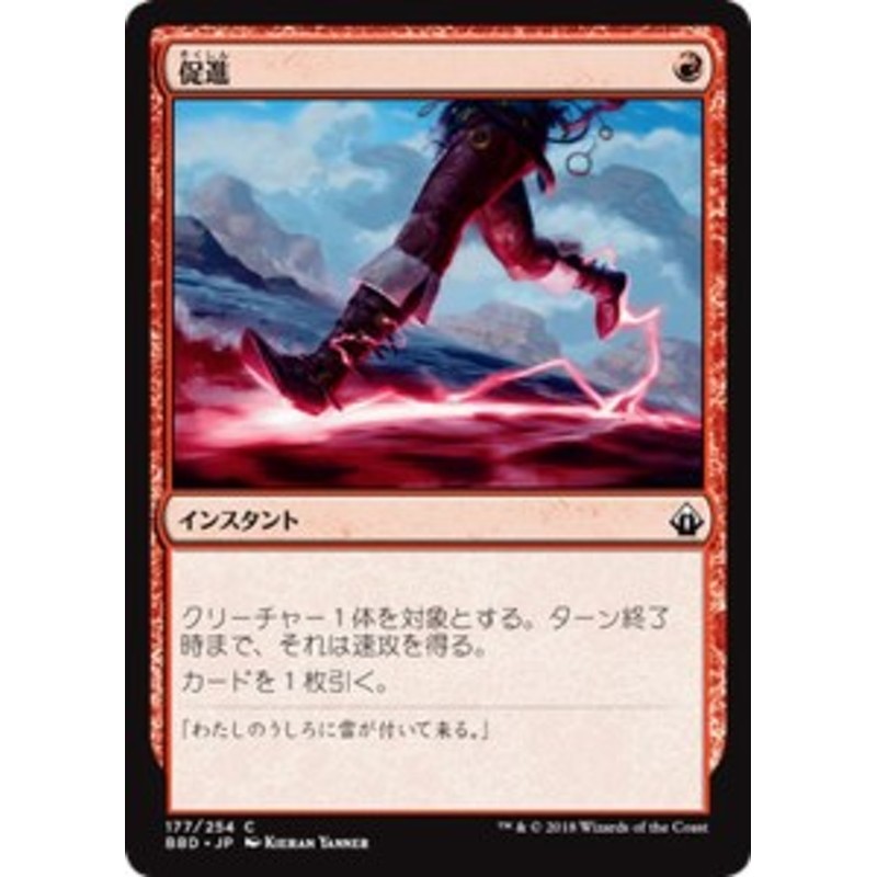 高知インター店】 MTG マイコシンスの庭 日本語版 mandhucollege.edu.mv