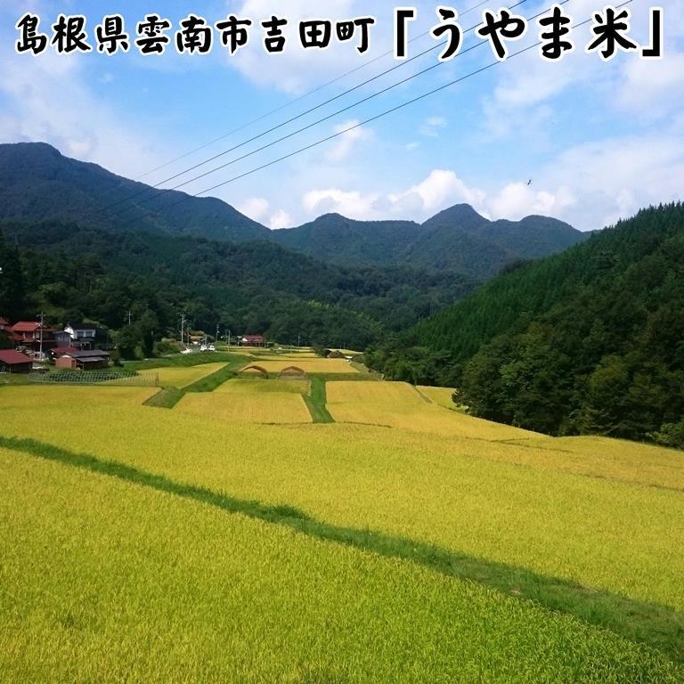 新米令和5年産 島根県吉田町『うやま米』コシヒカリ玄米30kg