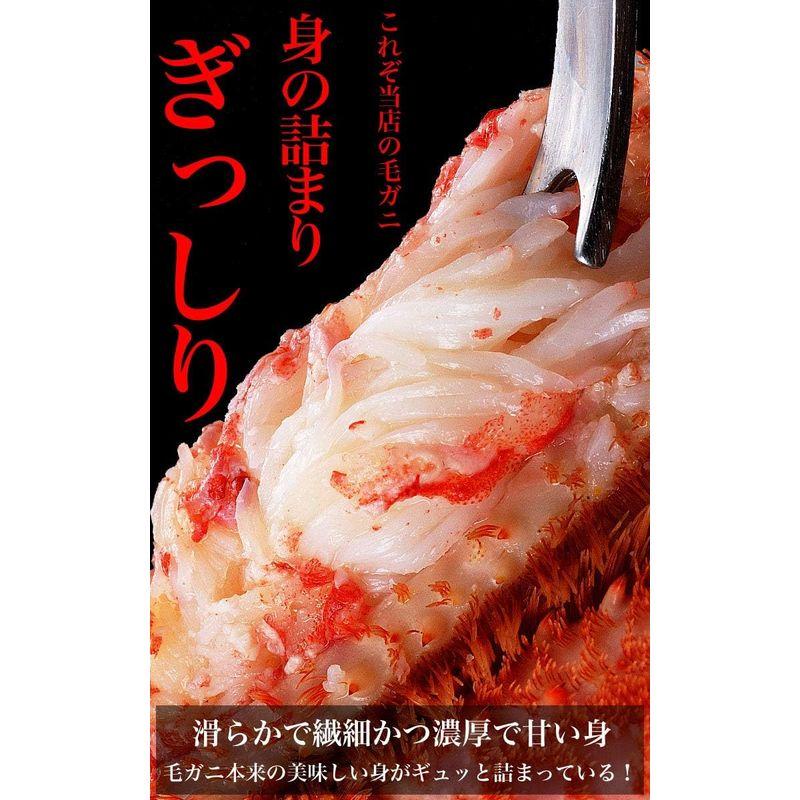 超 特大 ジャンボ 毛ガニ 800g前後× 2尾 北海道産 国産［カニ味噌 毛蟹 ボイル みそ かに カニ 蟹 毛がに kegani けがに