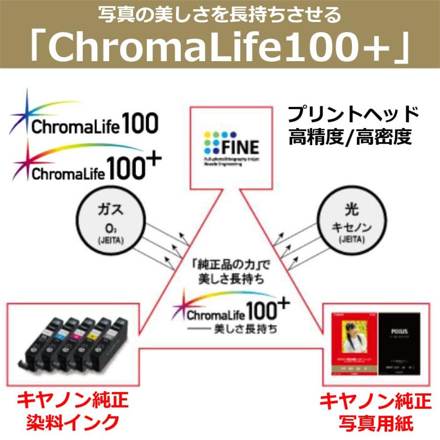 キヤノン写真用紙・光沢 ゴールド A4 50枚 GL-101A450