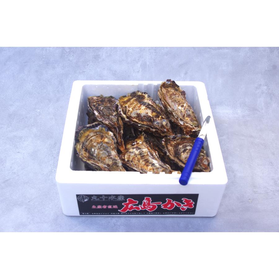 広島県産殻付き牡蠣　殻付き2kg かき小町　生産者直送