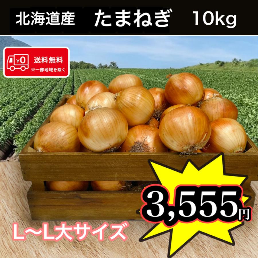 ≪市場から直送!!≫  北海道産 たまねぎ Lサイズ以上 10kg 送料無料 タマネギ 玉葱