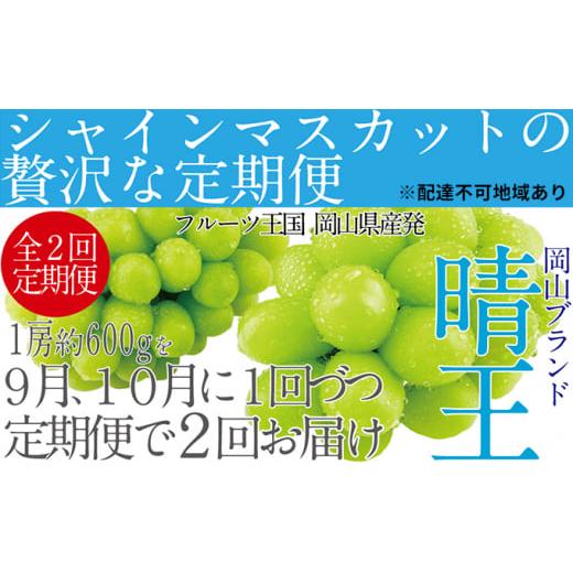 ふるさと納税 岡山県 瀬戸内市 ぶどう 2024年 先行予約 9月・10月発送 シャイン マスカット 晴王 1房 約600g ブドウ 葡萄  岡山県産 国産 フルーツ 果物 ギフ…