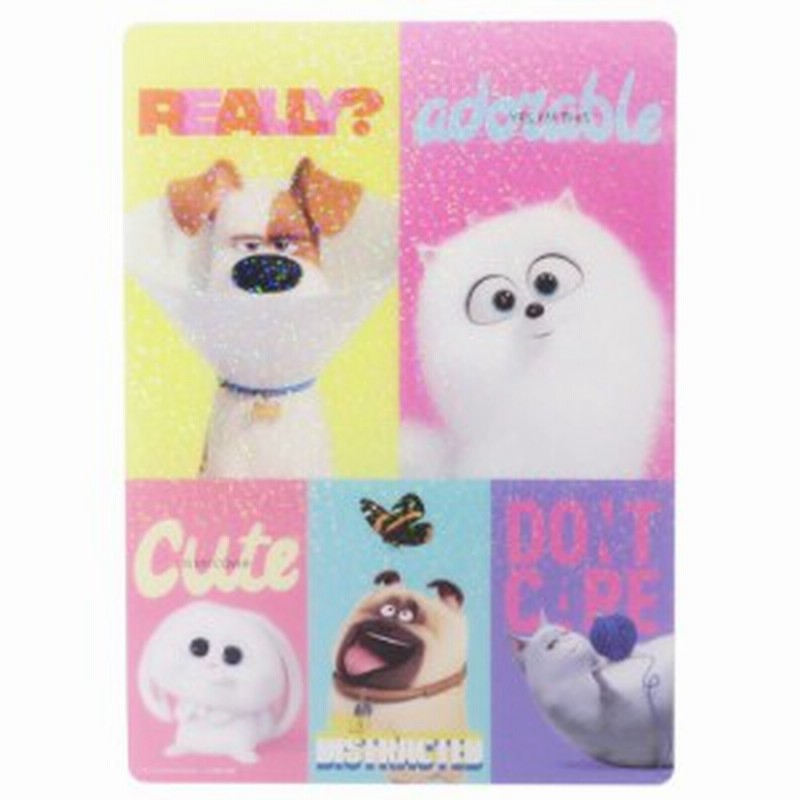 Pets2 ペット2 下敷き デスクパッド Aブロック ユニバーサル映画 新学期準備雑貨 キャラクター グッズ メール便可 通販 Lineポイント最大1 0 Get Lineショッピング