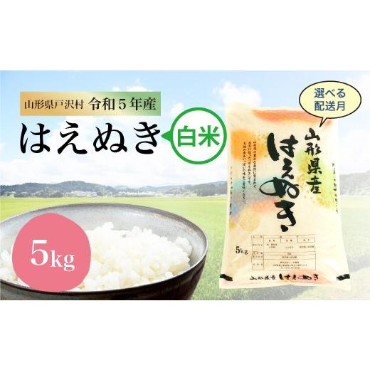 令和5年産 山形県戸沢村 厳選 はえぬき  5?（5kg×1袋） ＜配送時期指定可＞