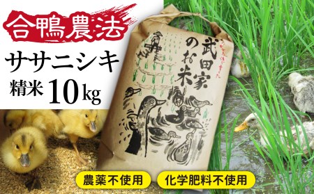 《令和５年度産》武田家のお米 ササニシキ（精米）10kg＜合鴨農法＞   米 白米 ５キロ ２袋 アイガモ