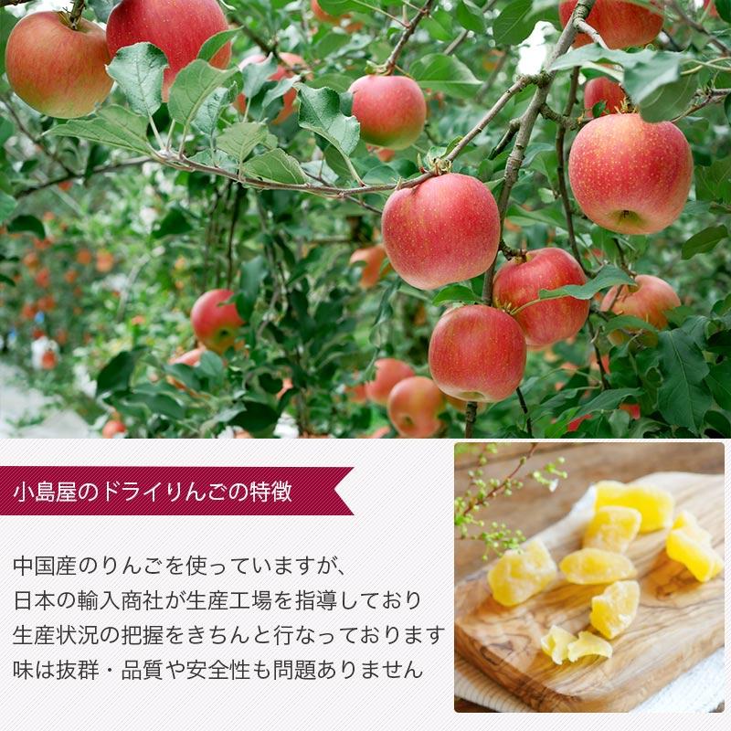 ドライフルーツ りんご ドライアップル 半生仕立て 肉厚カット 食感と酸味を大事にした ドライりんご 220g