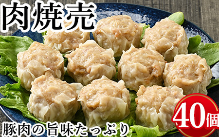 肉焼売　計40個(10個入り×4) ※着日指定不可