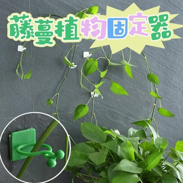 藤蔓植物固定器 束帶 綠蘿固定器 植物夾 植物固定夾 蔓夾 園藝夾 綁枝夾 滿夾 藤蔓固定夾 枝條夾 枝條固定夾