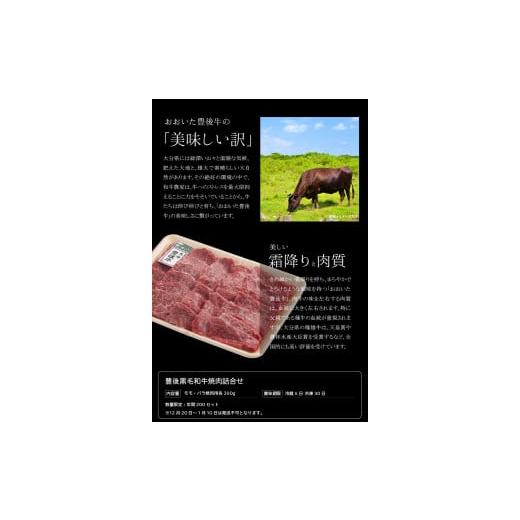 ふるさと納税 大分県 大分市  豊後黒毛和牛焼肉詰合せ約700g