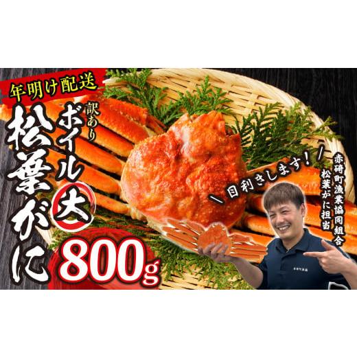 ふるさと納税 鳥取県 琴浦町 2.松葉ガニ（ボイル）大1枚　約800ｇ※着日指定不可※北海道、沖縄、一部離島への配送不可《ずわいが…