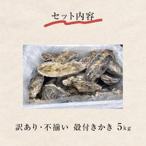 ふるさと納税 ＜訳あり・不揃い＞冷凍殻付き牡蠣 5kg 宮城県 石巻市 三陸産 カキ かき 加熱用 宮城県石巻市