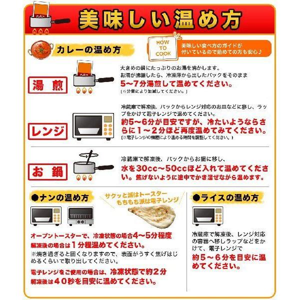 ナンカレーセットB 送料無料 インドカレー インド料理 セット商品