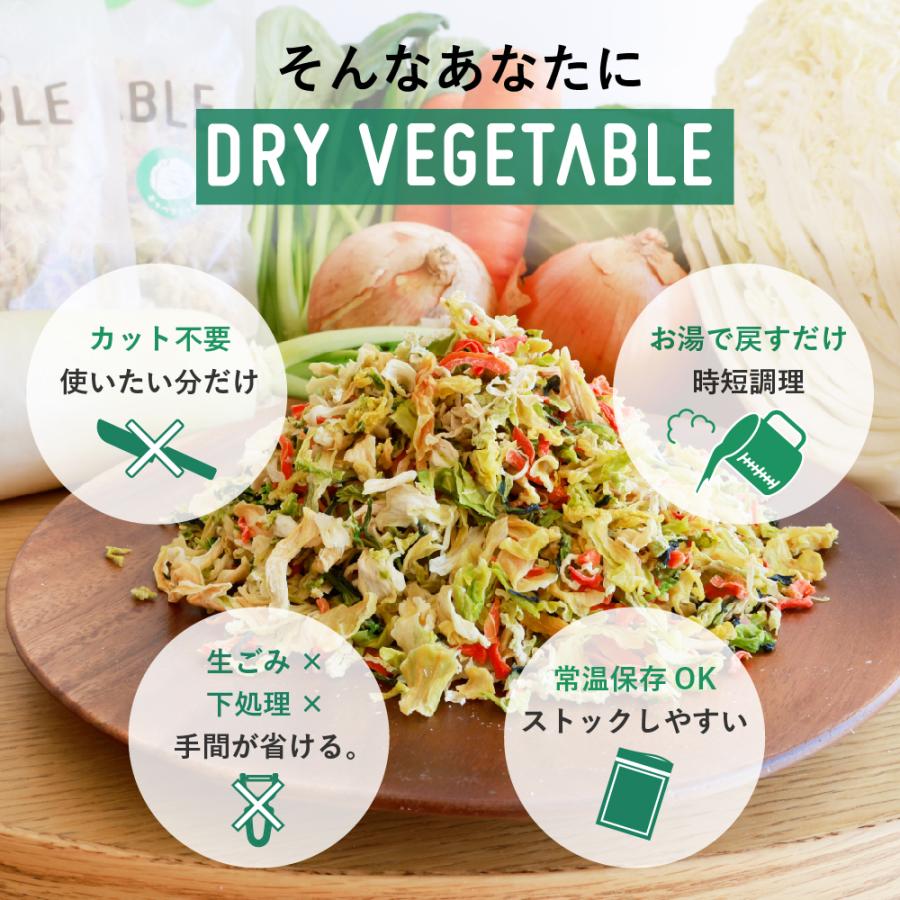 乾燥野菜 国産 DRYVEGETABLE 140ｇドライベジ ミックス 野菜 一人暮らし 常備菜 時短 味噌汁の具 キャベツ 白菜 小松菜 人参 大根 玉ねぎ