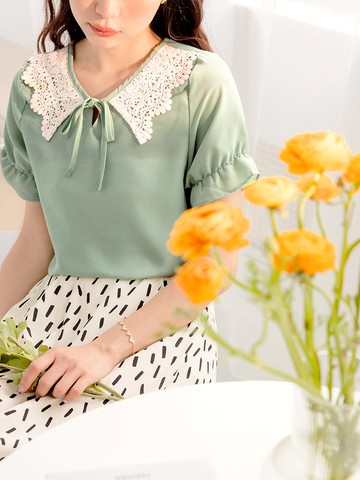 V領蕾絲娃娃領片拋袖上衣