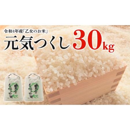 ふるさと納税 令和5年産「乙女のお米」元気つくし　３０kg 福岡県田川市