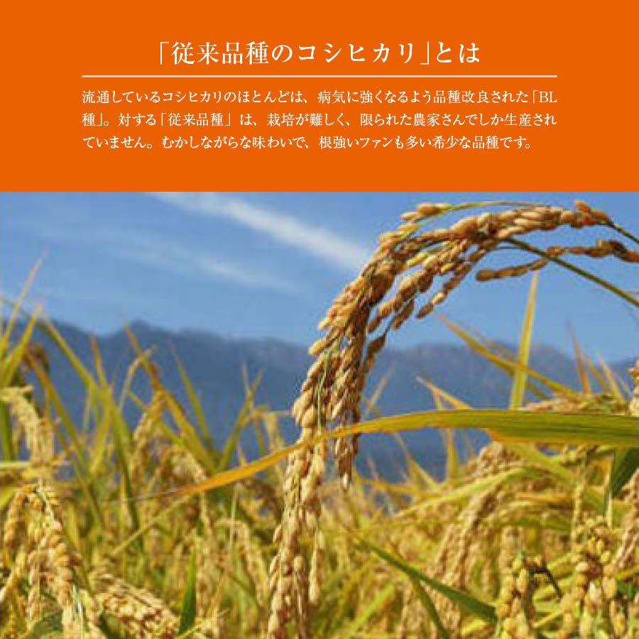 新潟県旧下田村産こしひかり 2kg 国産 有機飼料使用 コシヒカリ 新潟県産 大粒 美味しいお米 従来品種 もっちり食感 上品な甘さ 自然な甘さ