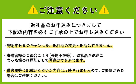 〈新米〉令和5年産 北斗米ななつぼし10kg お米 こめ 精米 白米 ごはん ブランド米 国産米 北海道産 東神楽町