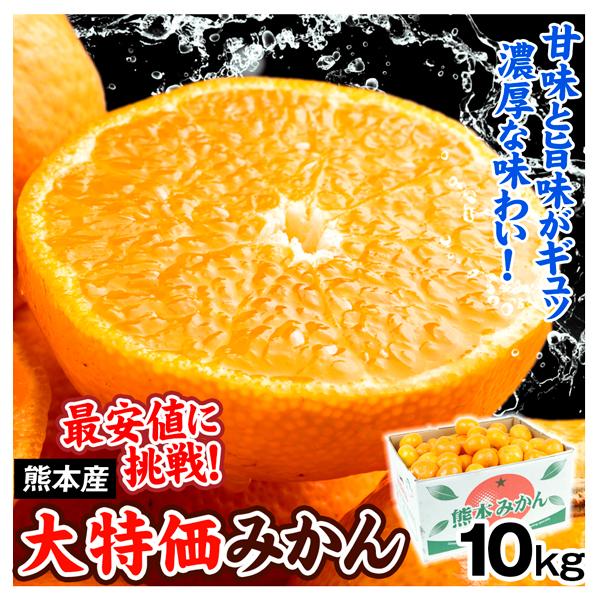 みかん 10kg 熊本産 大特価 みかん ご家庭用 送料無料 食品