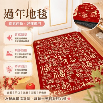 過年地毯 刮沙地墊 入戶地墊 過年地墊 門墊 紅色地墊 地毯地墊 刮泥地墊 蛇年地毯 新年地墊 門口地墊 廚房地墊
