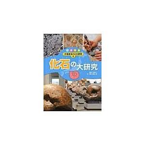 翌日発送・日本列島大地まるごと大研究 ５