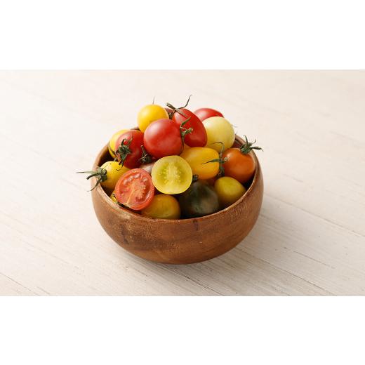 ふるさと納税 熊本県 カラフルミニトマト 1.5kg トマト ミニトマト