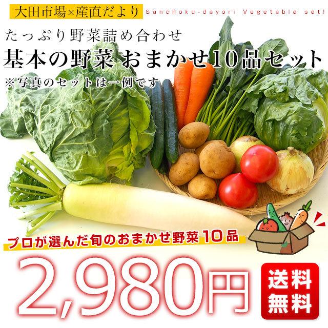 市場からご自宅へ直送　たっぷり野菜詰め合わせ　応援セット　（国産おまかせ野菜１０品セット）