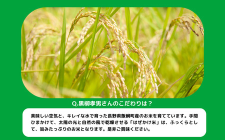 米 こしひかり 10kg × 3回 令和5年産 黒柳さんのお米 はぜかけ 沖縄県への配送不可 2023年11月上旬頃から順次発送予定 コシヒカリ 白米 精米 お米 信州 75000円 予約 農家直送 長野県 飯綱町 [0434]