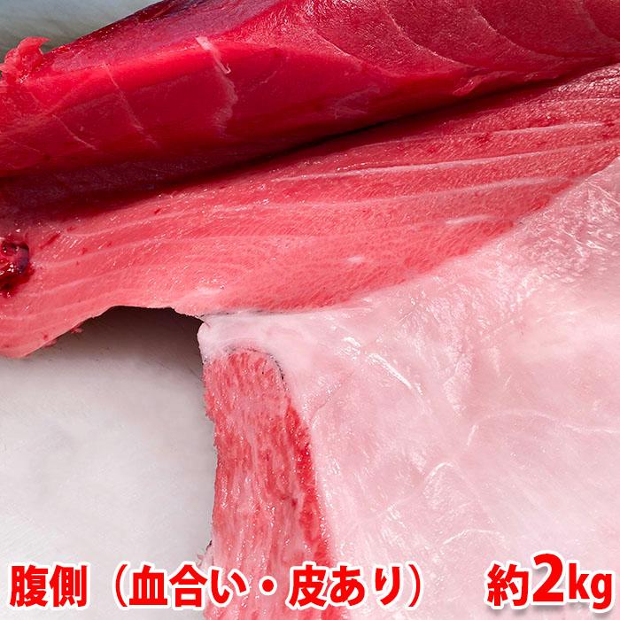 生・本マグロ　大トロ・中トロ・赤身ブロック　約2kg　国産・養殖 （血合い・皮あり） 腹側