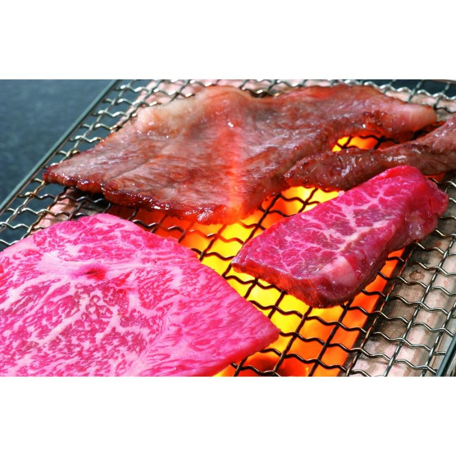 兵庫 神戸牛 花盛り 400g ギフト 精肉