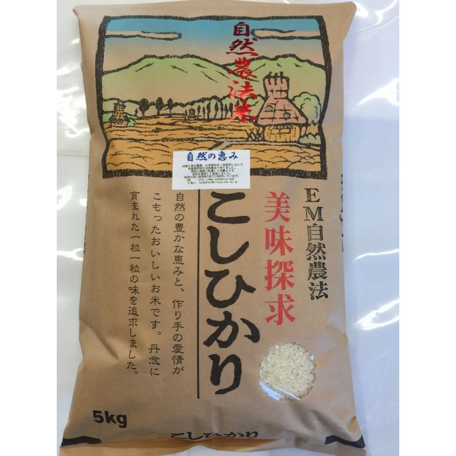 令和5年産 新米 自然農法米特別栽培米 こしひかり白米 5kg  「自然の恵み」  加賀百万石 コシヒカリ　お米  精米 新米