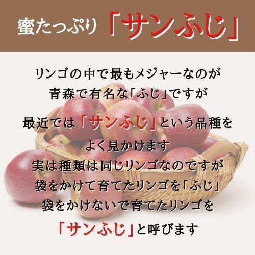 りんご サンふじ 3L ３kg 箱（約9〜10個入り） 産地直送 送料無料 12月上旬〜順次発送 福島 りんご屋さとう