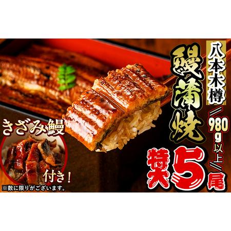 ふるさと納税 特大! 国産 八本木樽鰻の蒲焼(186g以上×5尾) きざみ鰻50g付き! c0-104-kizami 鹿児島県志布志市