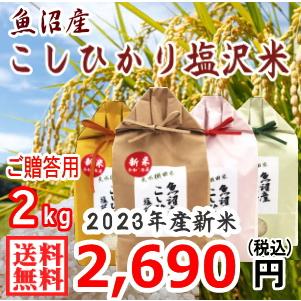 送料無料 （令和5年新米） 南魚沼産 コシヒカリ 塩沢米 ２ｋｇ ギフト用  精米 産地直送 こしひかり 白米