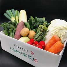 オーガニック野菜  有機JAS認証  しあわせ野菜畑  有機野菜  Mセット全12回