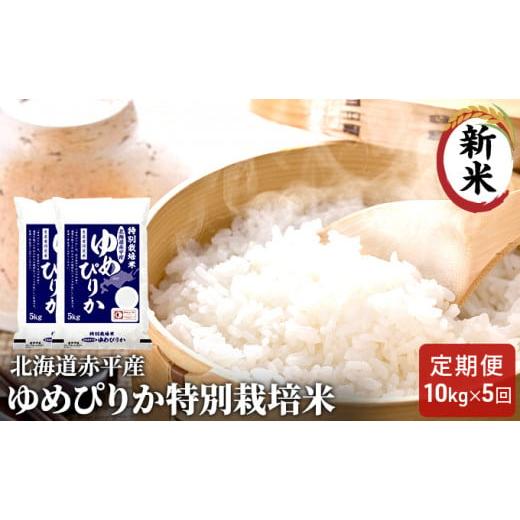 ふるさと納税 北海道 赤平市 北海道赤平産 ゆめぴりか 10kg (5kg×2袋) 特別栽培米  米 北海道 定期便