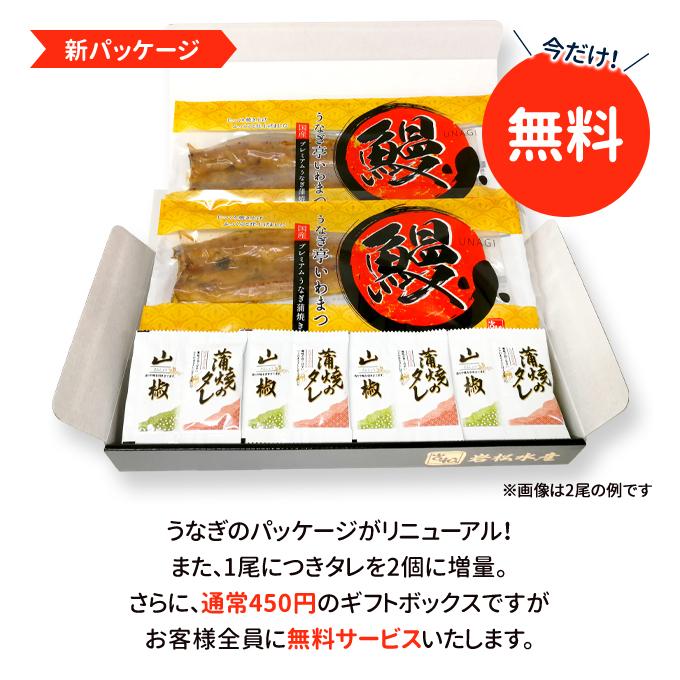 鹿児島産 新 超特大 国産 うなぎ蒲焼き 約250g×3尾 送料無料 海鮮 プレゼント グルメ ギフト