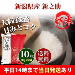 新米 米 10kg 新潟県産 新之助 しんのすけ 1等米 5kg×2袋 令和5年産 お米 10kg 送料無料 北海道・沖縄配送不可 即日発送 クーポン対象